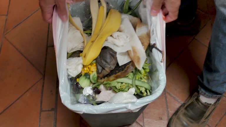 Recycling Services for Junk in Rochester, MN